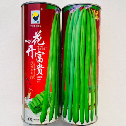 宁兴花开富贵小金豆种子肉厚红花绿莢无筋架豆抗病高产四季豆种籽