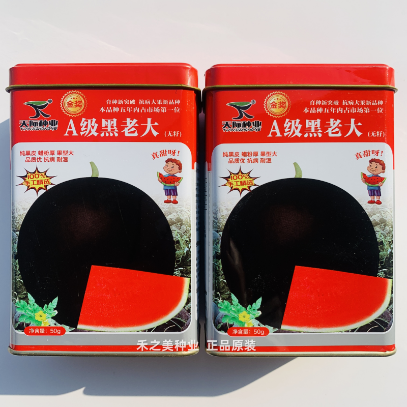 黑皮无籽西瓜种子A级黑老大西瓜种子耐湿耐重茬抗病丰产黑皮西瓜
