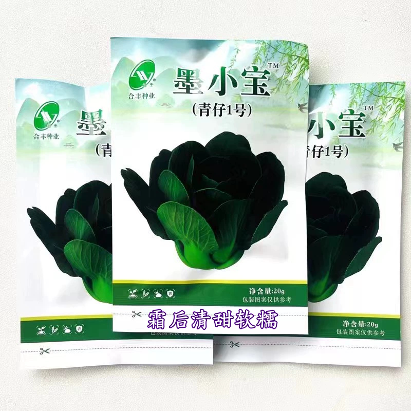 宁夏矮脚青菜籽苏州青墨小宝青梗菜菜种籽秋冬季四季青菜种子大全