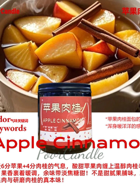 【苹安富桂】圣诞 苹果肉桂香薰蜡烛 馥郁绵长冬日暖香200g