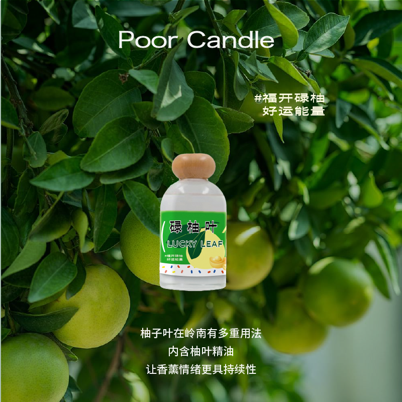 碌柚叶香薰蜡烛/无火香薰·柚叶味好运香薰