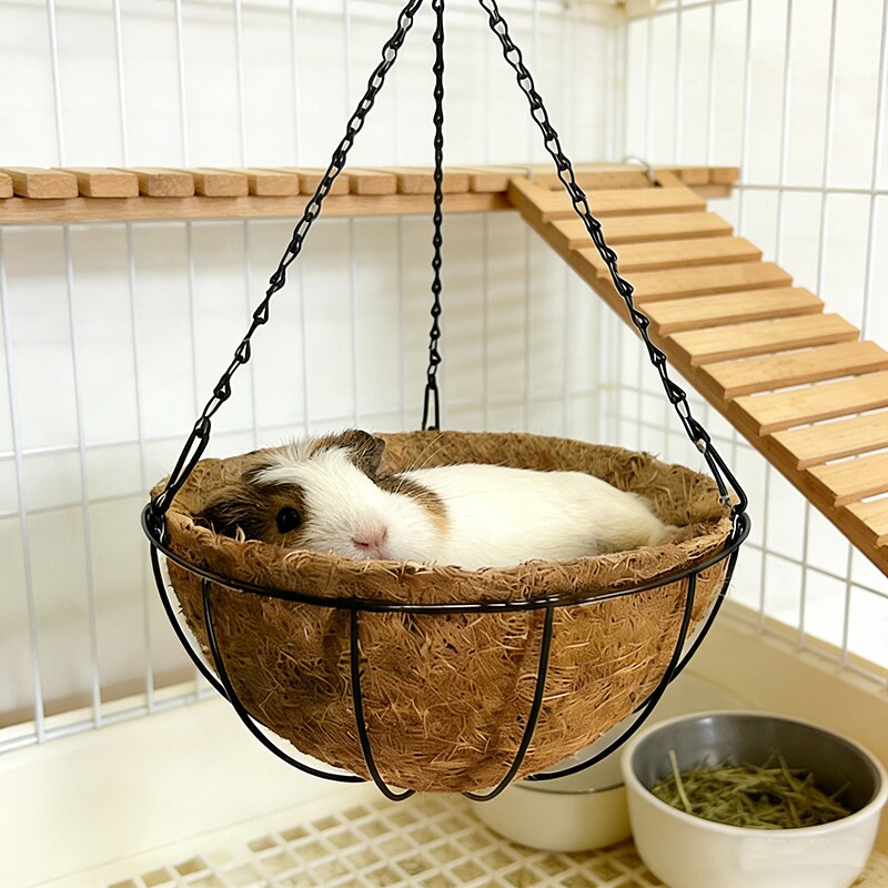 龙猫专用吊床秋千睡觉小窝解闷玩具宠物兔笼子松鼠仓鼠金丝熊用品