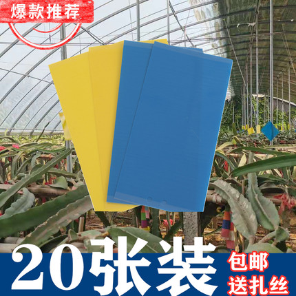 黄板粘虫板双面胶包邮黄蓝一体板蓝色诱虫板黏虫板小黑飞蓟马克星