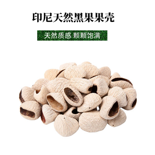 印尼进口黑果果壳天果壳风铃diy材料包小众摇铃果壳娃娃配件