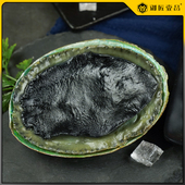 仿真黑金鲍鲍螺海鲜模型深海鱼小青龙帝王蟹直播间水族馆展示陈列