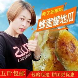 山东威海荣成蜂蜜罐地瓜农家红薯新鲜黄心番薯板栗山芋白皮蜜薯