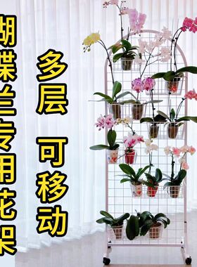 蝴蝶兰花架阳台家用饰品收纳落地铁网格架展示幼儿园环创美工作品