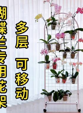 蝴蝶兰花架幼儿园环创美工作品区