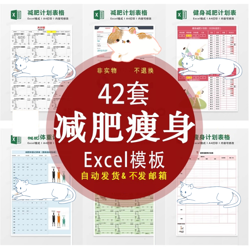 计划表饮食健身体重管理记录本自律打卡excel表格电子版