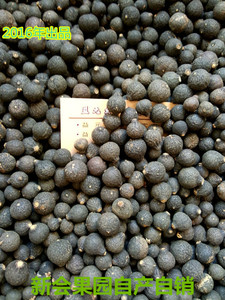 树摘小青柑 非落地新会陈皮 2016年生晒柑胎果仔茶果青皮500g包邮