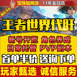 王者荣耀世界代练代肝代打升级新号开荒日常主线任务探索PVP排位