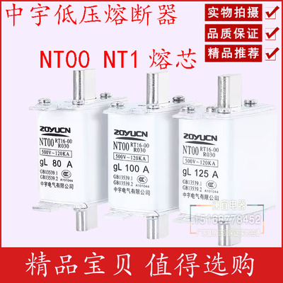 中宇低压熔断器NT00 NT1熔芯 陶瓷保险丝芯子RT16熔芯可定制
