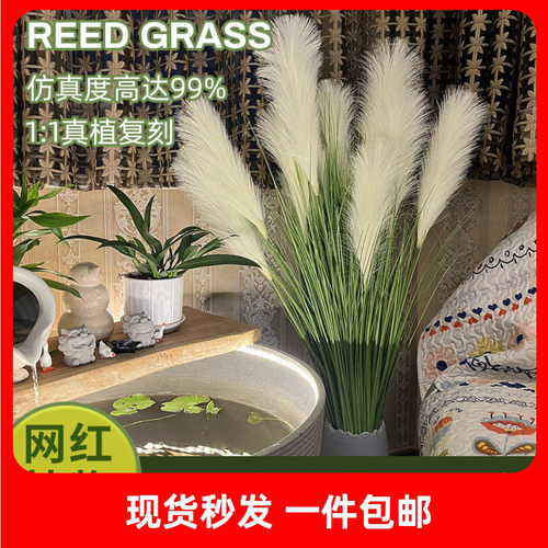 新品仿真芦苇盆栽干花假花五谷杂粮道具狗尾草水生装饰落地绿植物 - 封面