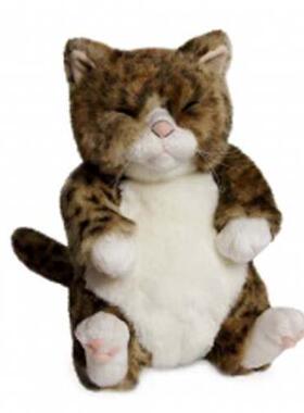 日本直送 Cuddly 超萌可爱 茶虎 Chibipin 毛绒猫猫玩偶 26cm
