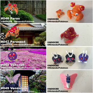 鹊城口袋妖怪-宠物小精灵国产福袋-派拉斯-派拉斯特-毛球-末入蛾