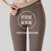 秋冬加厚健身紧身裤 女大码 加绒打底裤 男女通用云感鲨鱼裤 男士 外穿