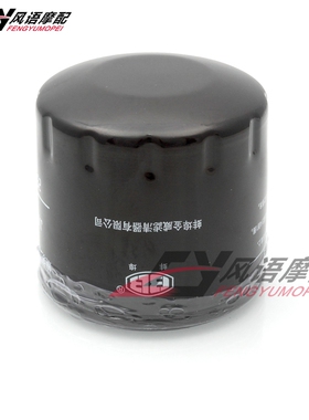 适用隆鑫LX900-C 无极DS900X 900DSX 机油滤清器 机滤