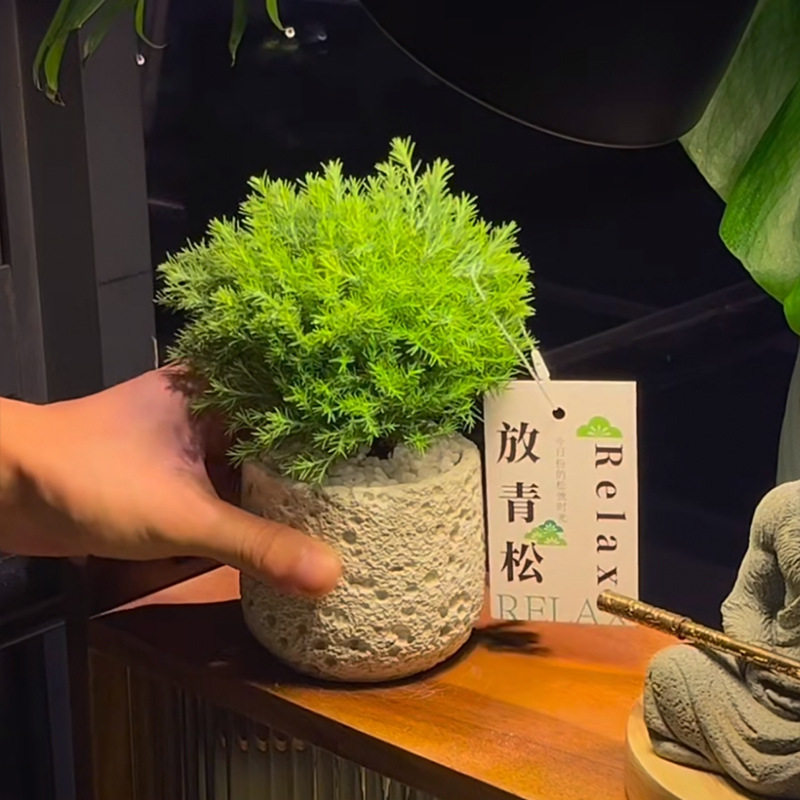 北欧家居陶瓷花盆文艺代简约风格ins风亚马逊无孔多肉仙人掌植物,鲜花速递/花卉仿真/绿植园艺,花盆,淘宝优惠券,粉丝福利购,淘宝优惠卷