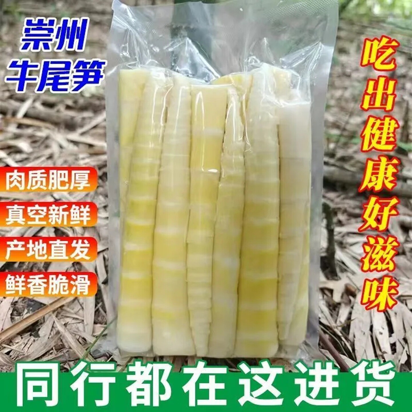 新鲜嫩笋尖四川农家特产竹笋火锅食材笋凉拌竹笋真空包装竹笋尖