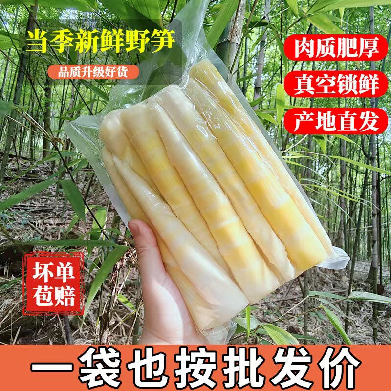 清水笋尖商用批发袋装笋新鲜涮火锅食材竹笋新鲜嫩笋尖现挖嫩竹笋