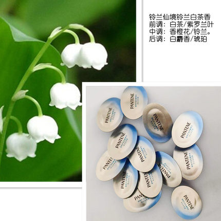 加量升级款散装潘婷胶囊护发精油小彩蛋改善毛躁修护干枯柔顺免洗