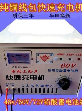 电动三轮车充电机水电瓶48V60V72V铅酸电池铜包大功率自停充电器