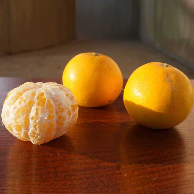 浙江衢州常山胡柚新鲜甜当季水果