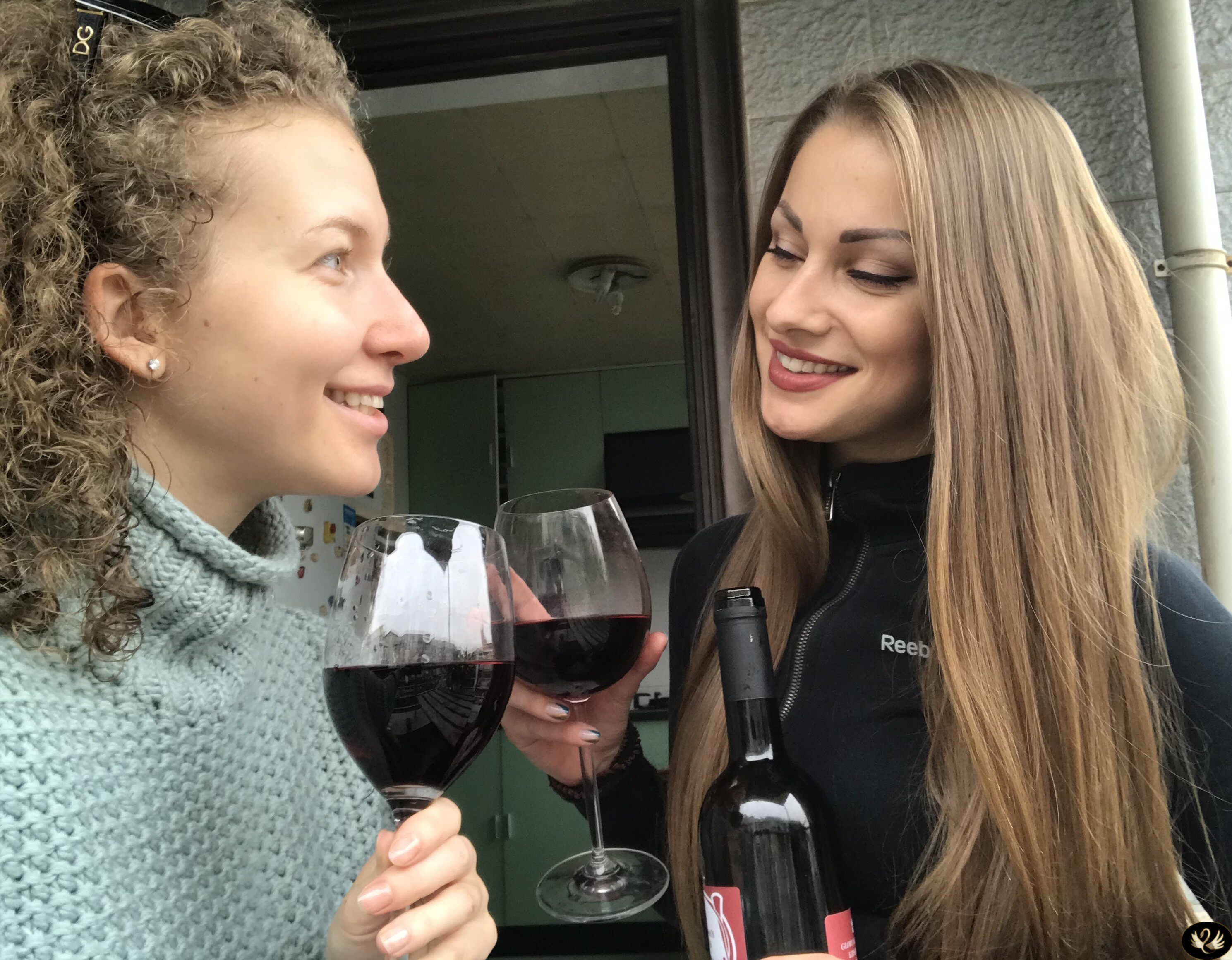 6瓶整箱丹麦荣耀哥本哈根车厘子酒红酒微醺送礼聚会婚庆破损包赔