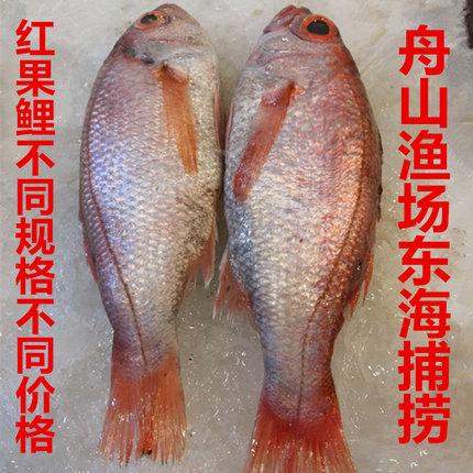 2条约2斤舟山海鲜红果鲤赤鯥鱼喉黑鱼深海新鲜鲜活1000克宝宝包邮