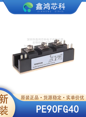 原装正品 PE90FG40 MODULE 可控硅模块