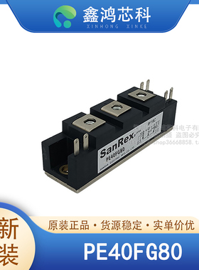 原装正品 PE40FG80 MODULE 可控硅模块