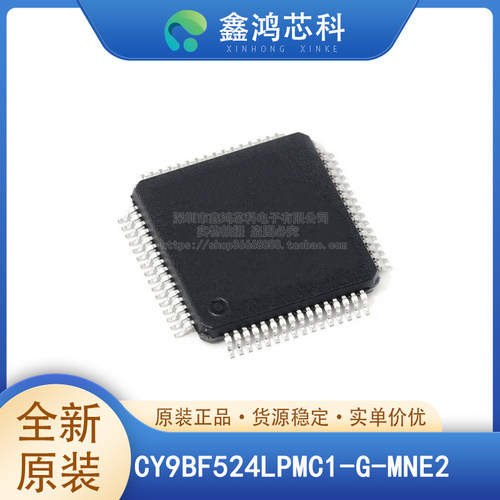 CY9BF524LPMC1-G-MNE2