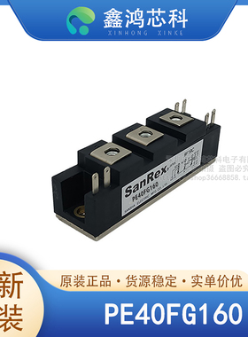 原装正品 PE40FG160 MODULE 可控硅模块