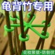 龟背竹支撑杆花支撑架植物防倒伏春羽支干固定花架扶正天堂鸟绿植