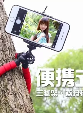 八爪鱼手机三脚架支架三角抖音