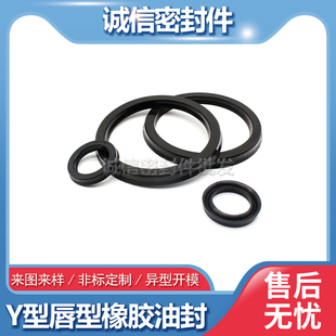 12.5 100 Y型橡胶密封65