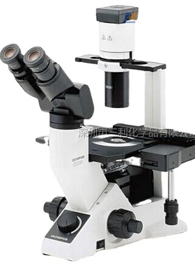奥林巴斯 CKX41 细胞培养观察显微镜 倒置三目生物显微镜