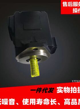 丹尼逊叶片泵T6C-008/010/012/014/017/020/022/025/028-1R00-B1