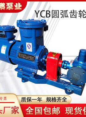 YCB0.6-0.6圆弧齿轮泵 低噪音卧式电动抽油泵 高温润滑油泵