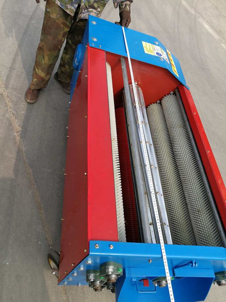 家用电动青核桃剥皮机商用剥皮核桃去皮机剥壳机清洗一体