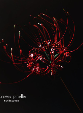 原创设计红色彼岸花曼珠沙华发簪复古簪子发钗头饰古风汉服发饰