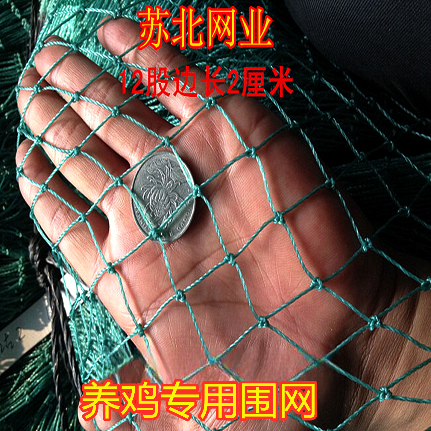 12股边长2厘米3厘米养鸡养殖围网菜园拦网聚乙烯熟料抗晒抗老化 - 实物图