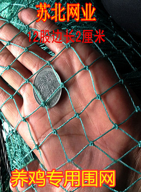 12股边长2厘米3厘米养鸡养殖围网菜园拦网聚乙烯熟料抗晒抗老化