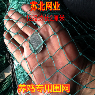 12股边长2厘米3厘米养鸡养殖围网菜园拦网聚乙烯熟料抗晒抗老化