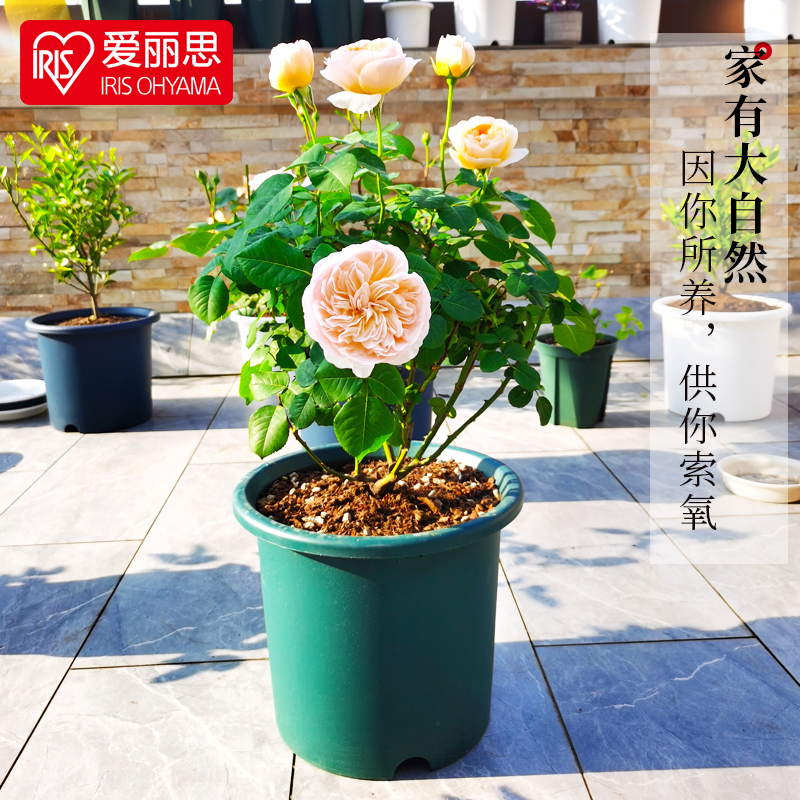 爱丽思彩色deepot深型花盆塑料