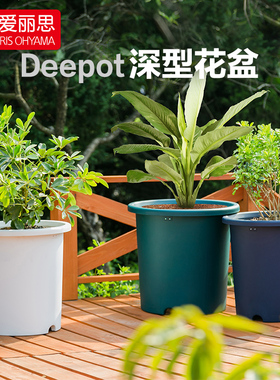 爱丽思大号深型Deepot花盆爱丽丝大口径圆形月季绿萝花盆塑料花盆