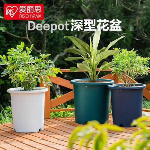 大口径圆形塑料花盆大月季绿萝