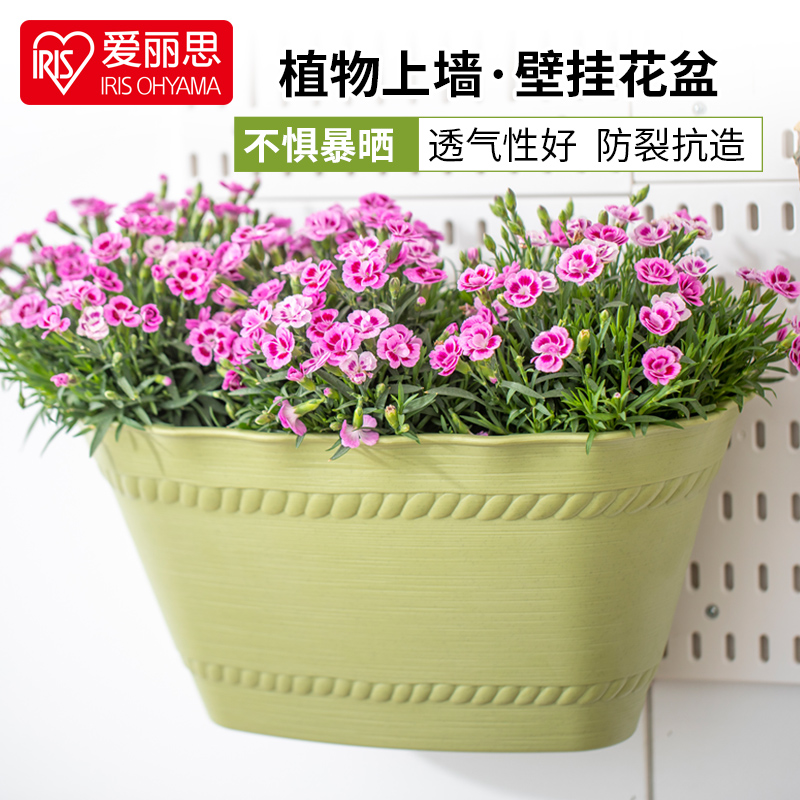 爱丽思种花塑料花盆爱丽丝壁挂