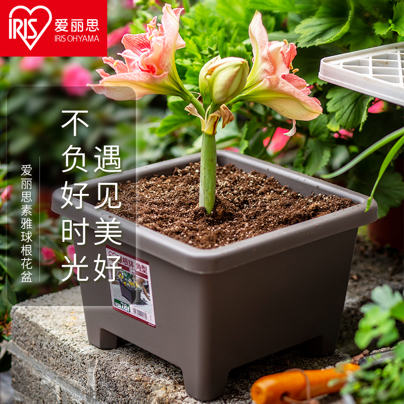 爱丽思IRIS 环保圆形球根花盆 简约纯色树脂花盆塑料花盆 9号