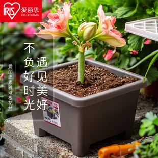 9号 简约纯色树脂花盆塑料花盆 环保圆形球根花盆 爱丽思IRIS